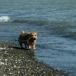 GEDV0089.MOV_snapshot_00.07_[2013.09.18_16.59.11]