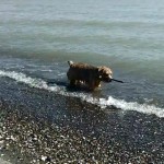 GEDV0093.MOV_snapshot_00.01_[2013.09.18_17.01.04]