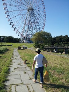 葛西の大観覧車