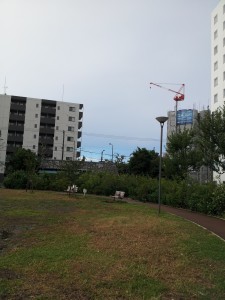 台風一過